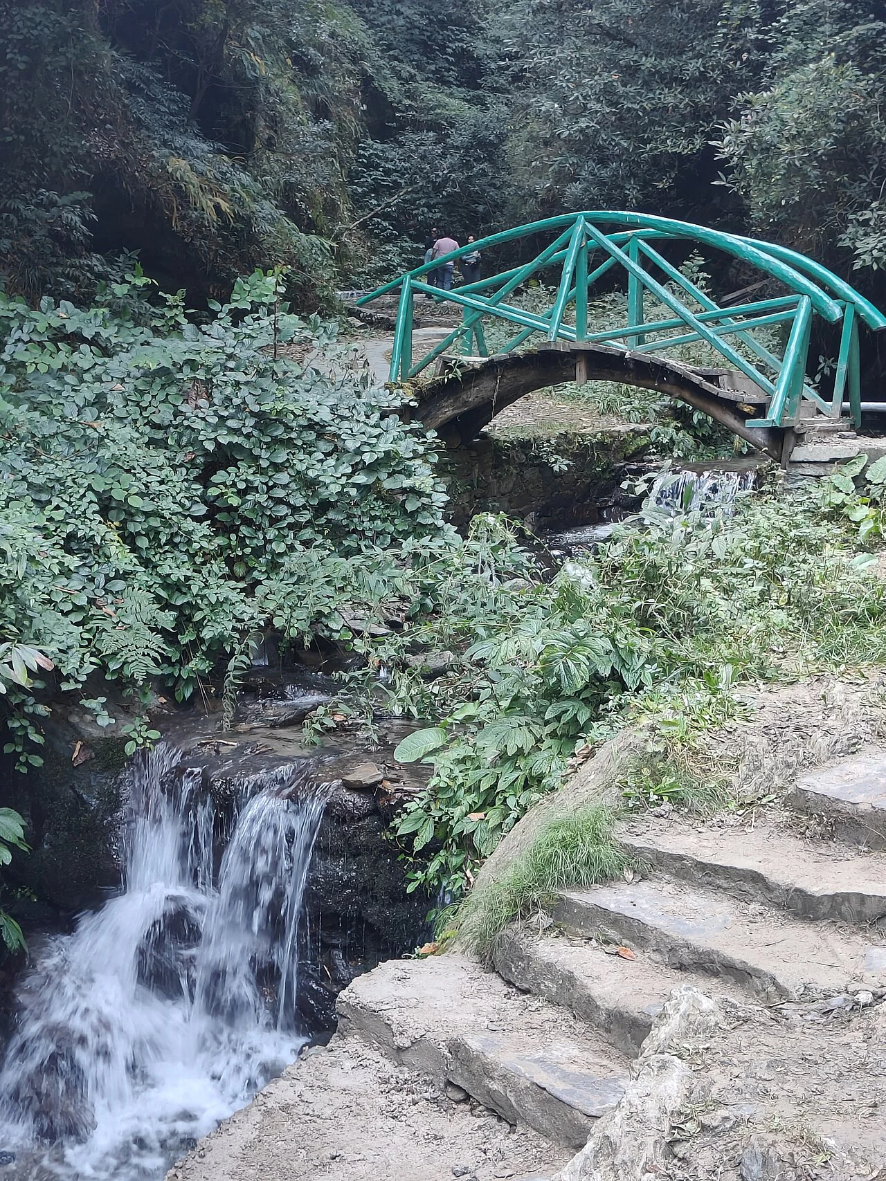 Wooden bridge and mossy canyon at Jibhi and Choie waterfalls